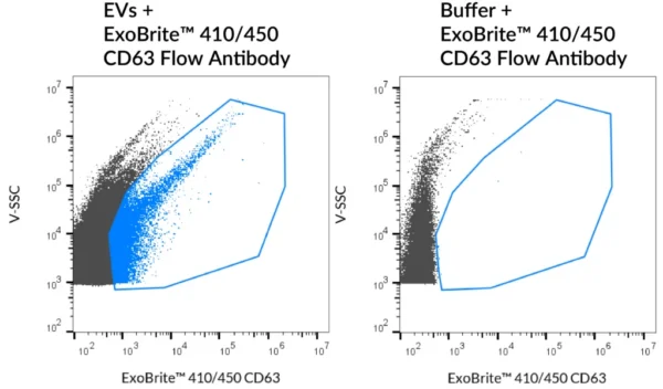 SEC-purified MCF-7-derived EVs were stained with ExoBrite™ 410/450 CD63 Flow Antibody (left). Specific staining was seen, compared with the same antibody in buffer (right). Exosomes were detected on a CytoFLEX LX flow cytometer in the V450 (Pacific Blue) channel.
