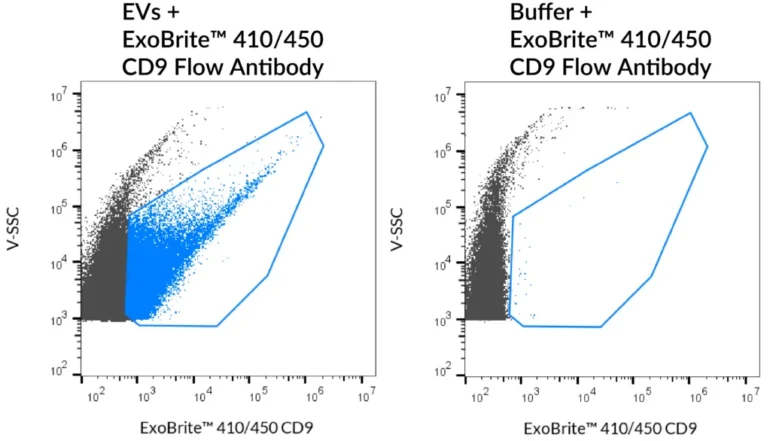 SEC-purified MCF-7-derived EVs were stained with ExoBrite™ 410/450 CD9 Flow Antibody (left). Specific staining was seen, compared with the same antibody in buffer (right). Exosomes were detected on a CytoFLEX LX flow cytometer in the V450 (Pacific Blue) channel.