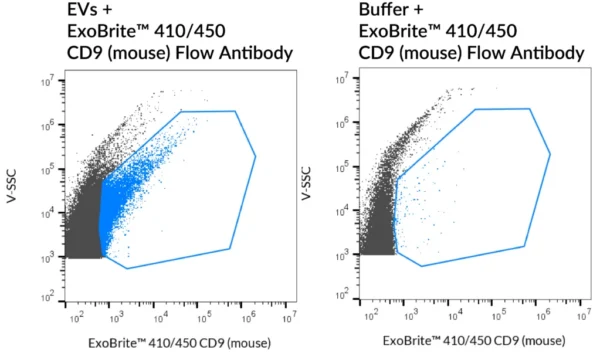 SEC-purified mouse RAW 264.7-derived EVs were stained with ExoBrite™ 410/450 CD9 (mouse) Flow Antibody (left). Specific staining was seen, compared with the same antibody in buffer (right). Exosomes were detected on a CytoFLEX LX flow cytometer in the V450 (Pacific Blue) channel.