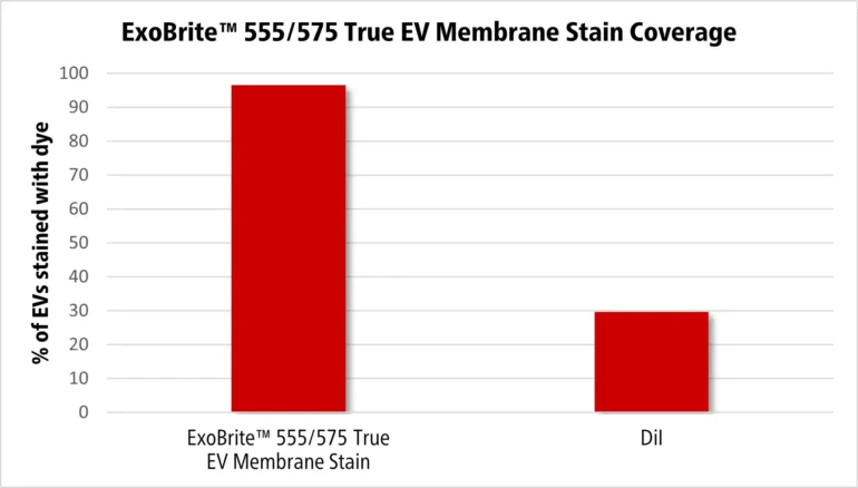 Bar chart showing comparison of % of EVs stained with dye between ExoBrite™ 555/575 True EV Membrane Stain and DiI.