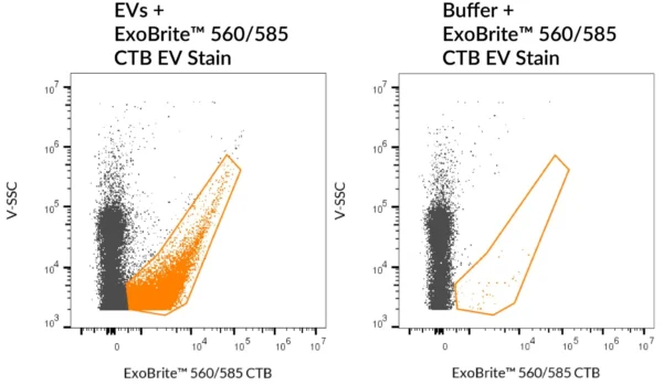 ExoBrite™ CTB EV Staining Kits - Image 8