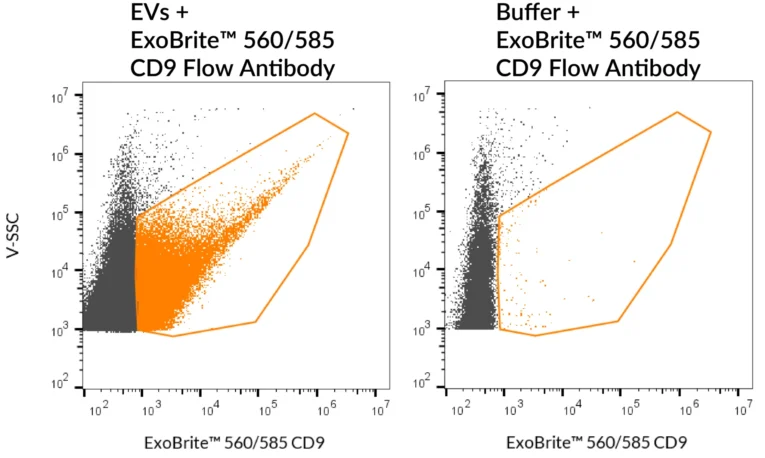 SEC-purified MCF-7-derived EVs were stained with ExoBrite™ 560/585 CD9 Flow Antibody (left). Specific staining was seen, compared with the same antibody in buffer (right). Exosomes were detected on a CytoFLEX LX flow cytometer in the Y585 (PE) channel.