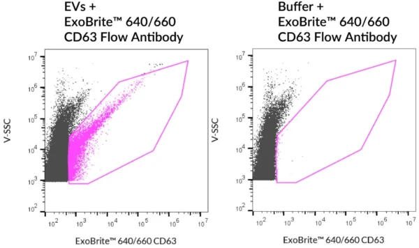 ExoBrite™ CD63 Flow Antibody - Image 7