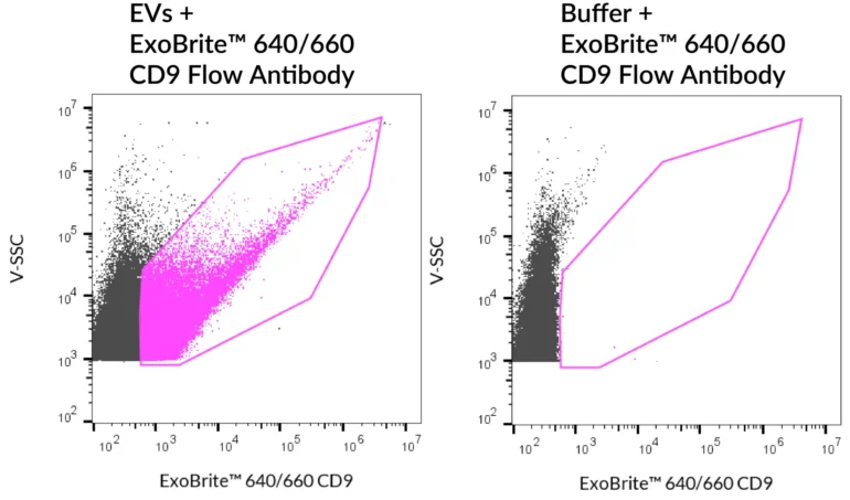 SEC-purified MCF-7-derived EVs were stained with ExoBrite™ 640/660 CD9 Flow Antibody (left). Specific staining was seen, compared with the same antibody in buffer (right). Exosomes were detected on a CytoFLEX LX flow cytometer in the R660 (APC) channel.