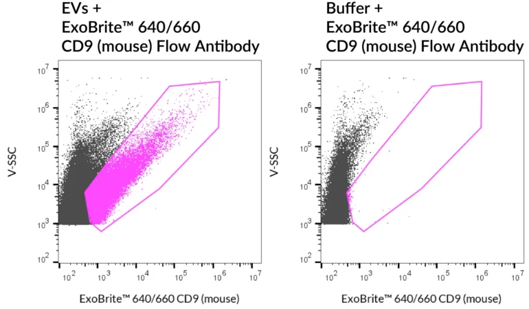 SEC-purified RAW 264.7-derived EVs were stained with ExoBrite™ 640/660 CD9 (mouse) Flow Antibody (left). Specific staining was seen, compared with the same antibody in buffer (right). Exosomes were detected on a CytoFLEX LX flow cytometer in the R660 (APC) channel.