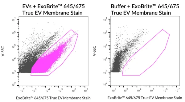 ExoBrite™ True EV Membrane Stains - Image 3