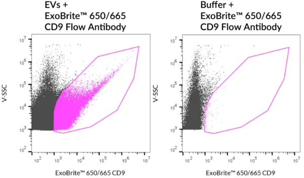 SEC-purified MCF-7-derived EVs were stained with ExoBrite™ 650/665 CD9 Flow Antibody (left). Specific staining was seen, compared with the same antibody in buffer (right). Exosomes were detected on a CytoFLEX LX flow cytometer in the R660 (APC) channel.
