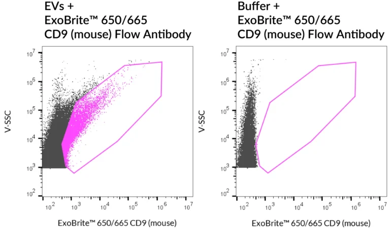 SEC-purified RAW 264.7-derived EVs were stained with ExoBrite™ 650/665 CD9 (mouse) Flow Antibody (left). Specific staining was seen, compared with the same antibody in buffer (right). Exosomes were detected on a CytoFLEX LX flow cytometer in the R660 (APC) channel.