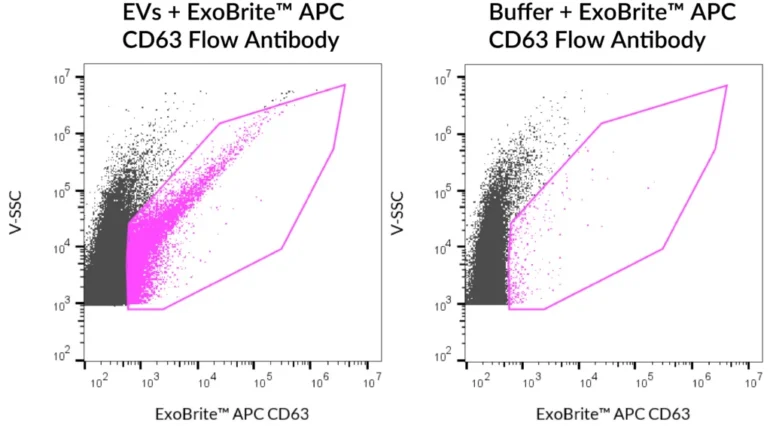 SEC-purified MCF-7-derived EVs were stained with ExoBrite™ APC CD63 Flow Antibody (left). Specific staining was seen, compared with the same antibody in buffer (right). Exosomes were detected on a CytoFLEX LX flow cytometer in the R660 (APC) channel.