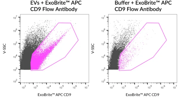 SEC-purified MCF-7-derived EVs were stained with ExoBrite™ APC CD9 Flow Antibody (left). Specific staining was seen, compared with the same antibody in buffer (right). Exosomes were detected on a CytoFLEX LX flow cytometer in the R660 (APC) channel.