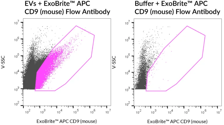 SEC-purified RAW 264.7-derived EVs were stained with ExoBrite™ APC CD9 (mouse) Flow Antibody (left). Specific staining was seen, compared with the same antibody in buffer (right). Exosomes were detected on a CytoFLEX LX flow cytometer in the R660 (APC) channel.
