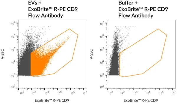 SEC-purified MCF-7-derived EVs were stained with ExoBrite™ R-PE CD9 Flow Antibody (left). Specific staining was seen, compared with the same antibody in buffer (right). Exosomes were detected on a CytoFLEX LX flow cytometer in the Y585 (PE) channel.