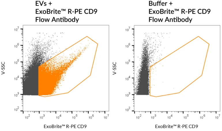 SEC-purified MCF-7-derived EVs were stained with ExoBrite™ R-PE CD9 Flow Antibody (left). Specific staining was seen, compared with the same antibody in buffer (right). Exosomes were detected on a CytoFLEX LX flow cytometer in the Y585 (PE) channel.
