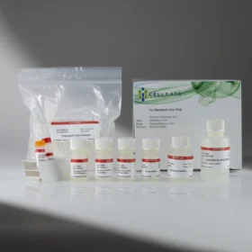 CELLDATA RNAstorm™ 2.0 FFPE RNA Extraction Kit