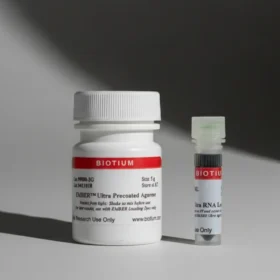 EMBER™ Ultra RNA Gel Kit