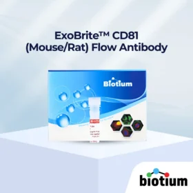 ExoBrite™ CD81(마우스/랫트) 유동 항체 표지 이미지