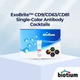ExoBrite™ CD9/CD63/CD81 단색 항체 칵테일 표지 이미지