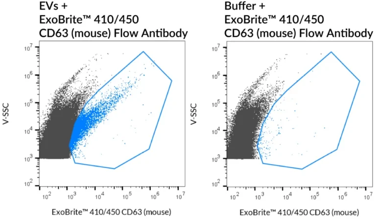 SEC-purified mouse RAW 264.7-derived EVs were stained with ExoBrite™ 410/450 CD63 (mouse) Flow Antibody (left). Specific staining was seen, compared with the same antibody in buffer (right). Exosomes were detected on a CytoFLEX LX flow cytometer in the V450 (Pacific Blue) channel.