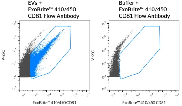SEC-purified HEK 293-derived EVs were stained with ExoBrite™ 410/450 CD81 Flow Antibody (left). Specific staining was seen, compared with the same antibody in buffer (right). Exosomes were detected on a CytoFLEX LX flow cytometer in the V450 (Pacific Blue) channel.