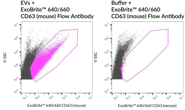 SEC-purified RAW 264.7-derived EVs were stained with ExoBrite™ 640/660 CD63 (mouse) Flow Antibody (left). Specific staining was seen, compared with the same antibody in buffer (right). Exosomes were detected on a CytoFLEX LX flow cytometer in the R660 (APC) channel.
