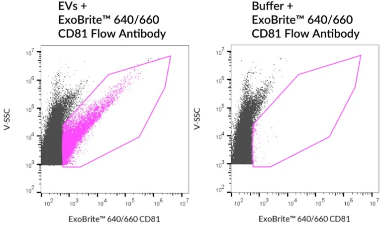 SEC-purified MCF-7-derived EVs were stained with ExoBrite™ 640/660 CD81 Flow Antibody (left). Specific staining was seen, compared with the same antibody in buffer (right). Exosomes were detected on a CytoFLEX LX flow cytometer in the R660 (APC) channel.