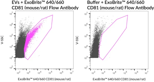 SEC-purified NIH 3T3-derived EVs were stained with ExoBrite™ 640/660 CD81 (mouse/rat) Flow Antibody (left). Specific staining was seen, compared with the same antibody in buffer (right). Exosomes were detected on a CytoFLEX LX flow cytometer in the R660 (APC) channel.