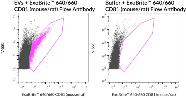SEC-purified NIH 3T3-derived EVs were stained with ExoBrite™ 640/660 CD81 (mouse/rat) Flow Antibody (left). Specific staining was seen, compared with the same antibody in buffer (right). Exosomes were detected on a CytoFLEX LX flow cytometer in the R660 (APC) channel.