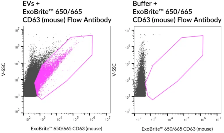 SEC-purified RAW 264.7-derived EVs were stained with ExoBrite™ 650/665 CD63 (mouse) Flow Antibody (left). Specific staining was seen, compared with the same antibody in buffer (right). Exosomes were detected on a CytoFLEX LX flow cytometer in the R660 (APC) channel.
