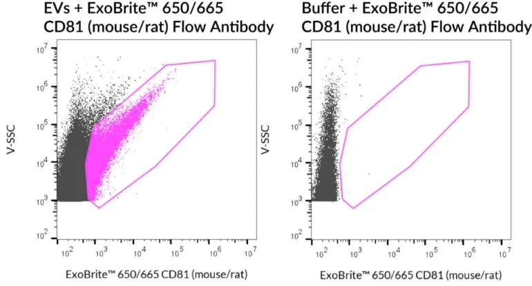 SEC-purified NIH 3T3-derived EVs were stained with ExoBrite™ 650/665 CD81 (mouse/rat) Flow Antibody (left). Specific staining was seen, compared with the same antibody in buffer (right). Exosomes were detected on a CytoFLEX LX flow cytometer in the R660 (APC) channel.