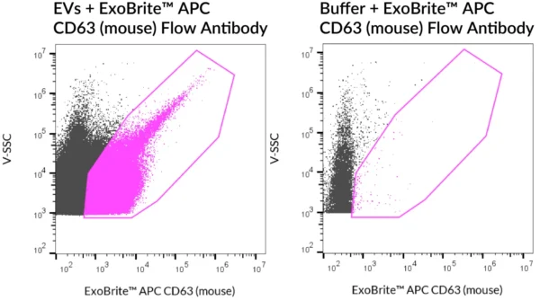 SEC-purified NIH 3T3-derived EVs were stained with ExoBrite™ APC CD63 (mouse) Flow Antibody (left). Specific staining was seen, compared with the same antibody in buffer (right). Exosomes were detected on a CytoFLEX LX flow cytometer in the R660 (APC) channel.