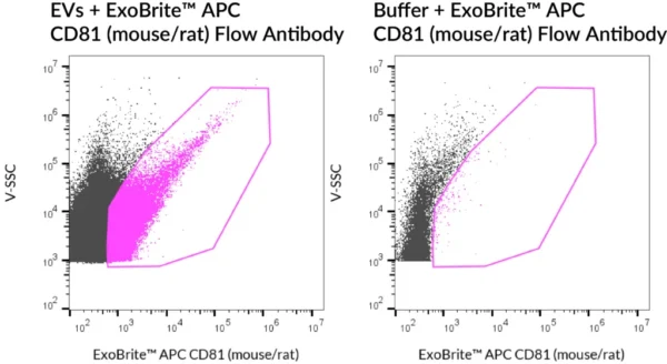 SEC-purified NIH 3T3-derived EVs were stained with ExoBrite™ APC CD81 (mouse/rat) Flow Antibody (left). Specific staining was seen, compared with the same antibody in buffer (right). Exosomes were detected on a CytoFLEX LX flow cytometer in the R660 (APC) channel.