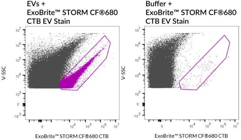 SEC purified MCF-7-derived EVs stained with ExoBrite™ STORM CF®680 CTB EV Stain (left) compared to the same stain in buffer (right). EVs were detected on a CytoFLEX LX flow cytometer in the R712 channel.
