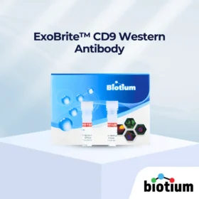 ExoBrite™ CD9 Western Antibody cover image