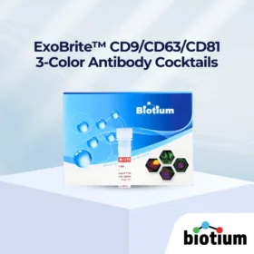 ExoBrite™ CD9/CD63/CD81 3-Color Antibody Cocktails cover image