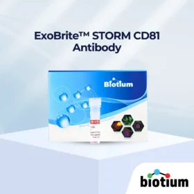 ExoBrite™ STORM CD81 Antibody cover image