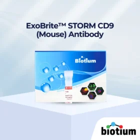 ExoBrite™ STORM CD9 (Mouse) Antibody cover image
