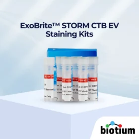 ExoBrite™ STORM CTB EV Staining Kits cover image
