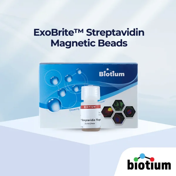 ExoBrite™ Streptavidin Magnetic Beads cover image