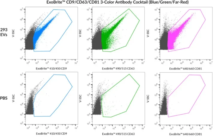 SEC-purified HEK 293-derived EVs were stained with ExoBrite™ CD9/CD63/CD81 3-Color Antibody Cocktail (Blue/Green/Far-Red) and clear staining was seen in all 3 channels (top row). The same antibody cocktail was run in PBS, and very few aggregates are seen (bottom row). Staining was detected in the V450 (Pacific Blue), B525 (FITC), and R660 (APC) channels.