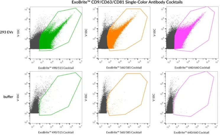 SEC-purified HEK 293-derived EVs were stained with each of the ExoBrite™ CD9/CD63/CD81 Single-Color Antibody Cocktails: Green, Orange, or Far-Red (top row). The same antibody cocktails were run in PBS, and very few aggregates were seen (bottom row). Staining was detected in the B525 (FITC), Y585 (PE), and R660 (APC) channels, respectvely.