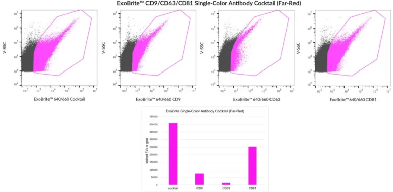 SEC-purified HEK 293-derived EVs were stained with ExoBrite™ CD9/CD63/CD81 Single-Color Antibody Cocktail (Far-Red) or each of the individual ExoBrite™ 640/660 tetraspanin antibody conjugates. More stained EVs were detected in the EV gate when the antibody cocktail was used compared to any of the individual antibodies. Staining was detected in the R660 (APC) channel.