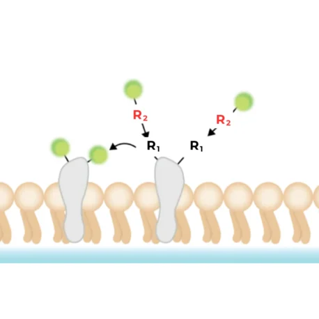 Illustration of Surface protein stains
