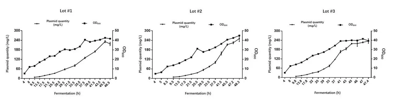 Three line graphs (Lot #1, Lot #2, Lot #3) showing plasmid quantity (mg/L) and optical density (OD600) during fermentation over time. Each plot demonstrates consistent growth and plasmid yield patterns across batches, with plasmid quantity increasing steadily up to around 250–300 mg/L and OD600 rising to approximately 40–45, indicating strong batch-to-batch reproducibility in plasmid fermentation.
