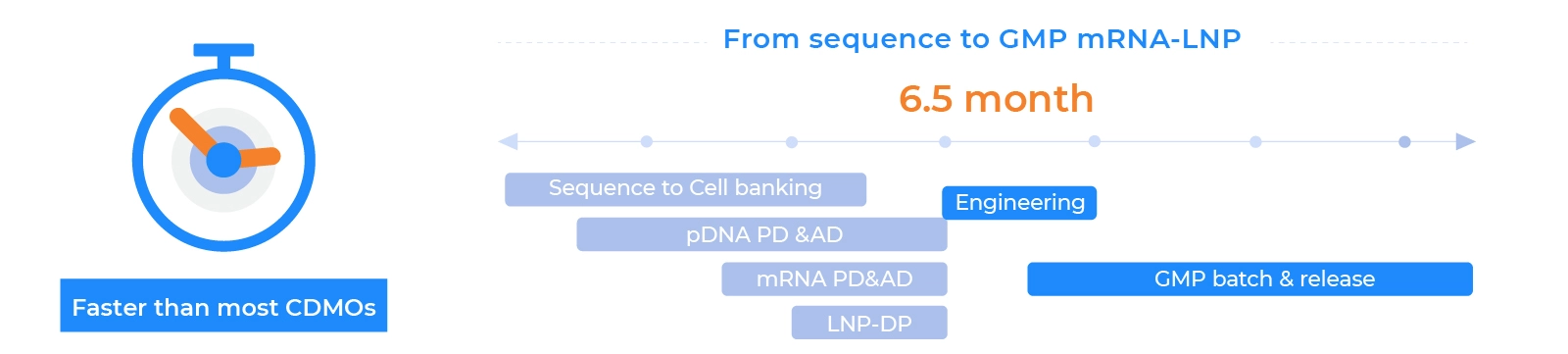 Timeline infographic showing PackGene’s accelerated GMP mRNA production process from sequence design to GMP batch release in just 6.5 months — faster than most CDMOs. Steps include sequence to cell banking, pDNA and mRNA process development, and GMP batch release.