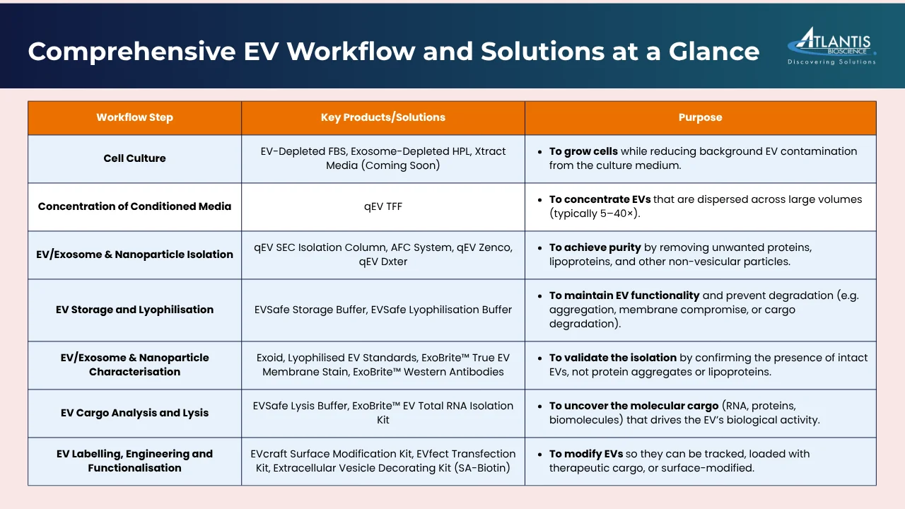 Table summarising a complete extracellular vesicle (EV) workflow, showing seven steps from cell culture to functionalisation. Each step lists key tools — such as EV-depleted FBS, qEV isolation columns, Exoid TRPS system, ExoBrite staining reagents, and EVSafe buffers — alongside their purposes for achieving high-purity isolation, reliable characterisation, and translational-ready EV research.