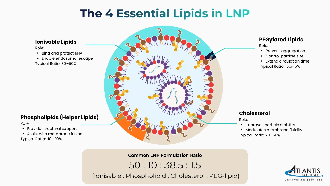 롯데면세점, image size:1280x720
