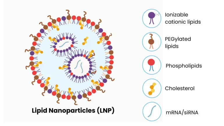 Diagram showing the four essential lipids in an LNP formulation: ionisable lipids, phospholipids (DSPC), cholesterol, and PEGylated lipids surrounding an mRNA payload.