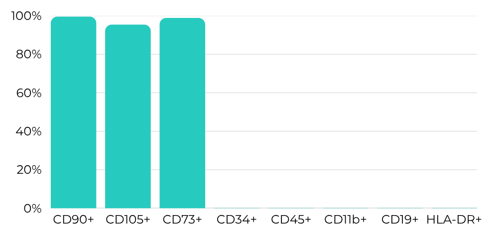 Our hMSC (0326-112-0001) show a verified marker expression profile that complies with ISCT* recommendations, providing well characterized cells.