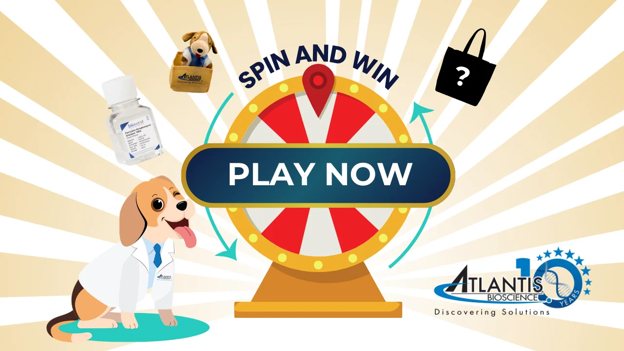 Play the fortune wheel now_Atlantis 10 Year Anniversary